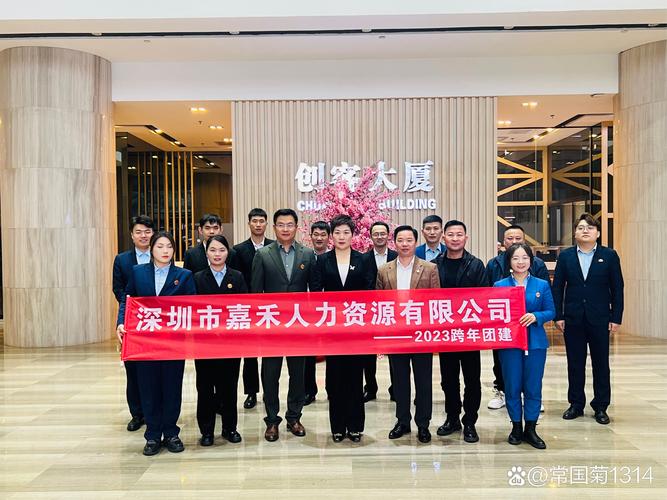 坪山SEO定制服务，深圳专业优化哪家强？