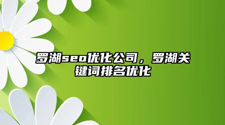 深圳罗湖SEO优化，哪家专业公司值得推荐呢？