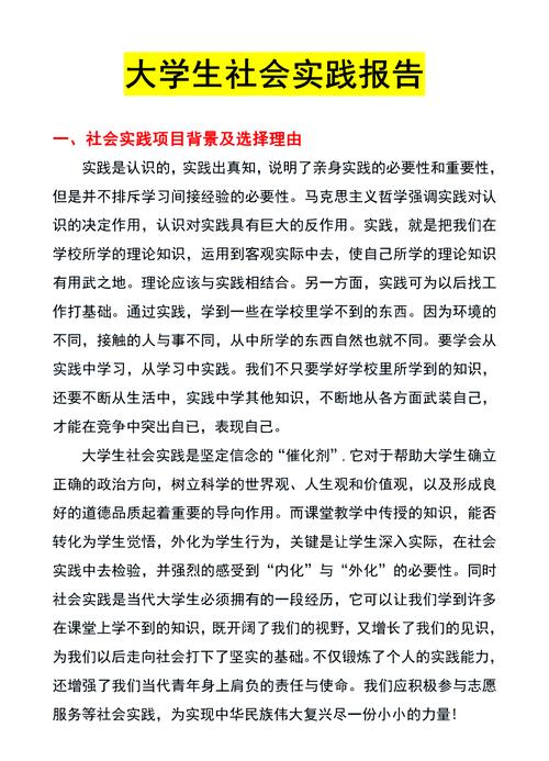 如何将网站建设实践深度与反思转化为专业之道，进行简述？