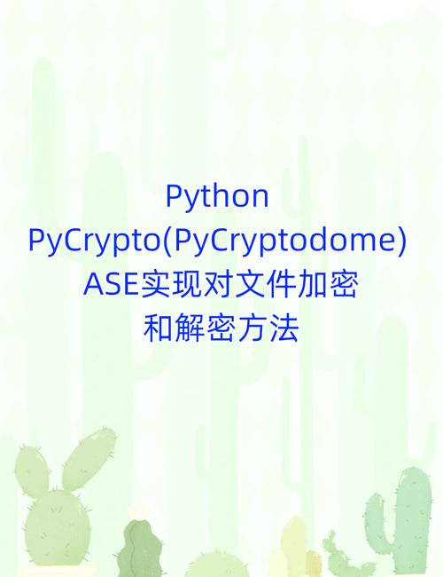 如何用Python编写文件加密程序？