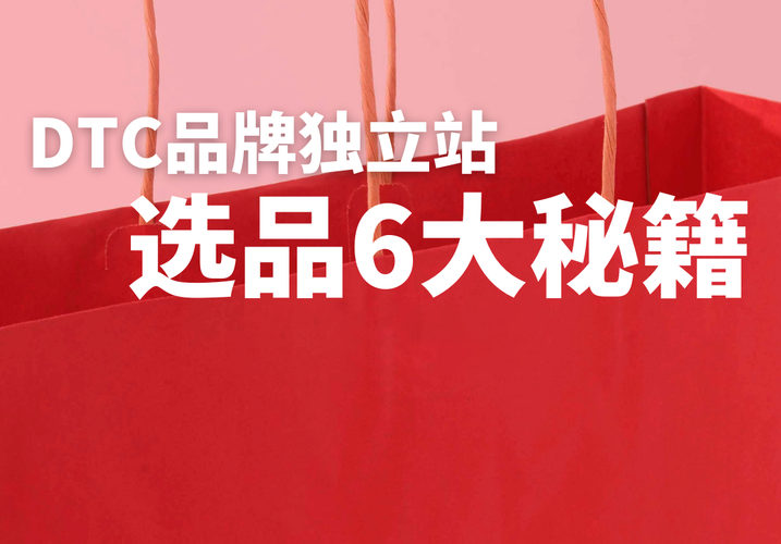 2026年独立站选品，哪些高潜力品类最赚钱？