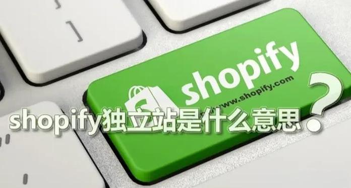 独立站能否在亚马逊的竞争下成功分得电商市场的一杯羹？