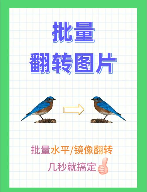 微信小程序图片翻转效果如何实现成长尾词：微信小程序图片翻转功能具体怎么编写？