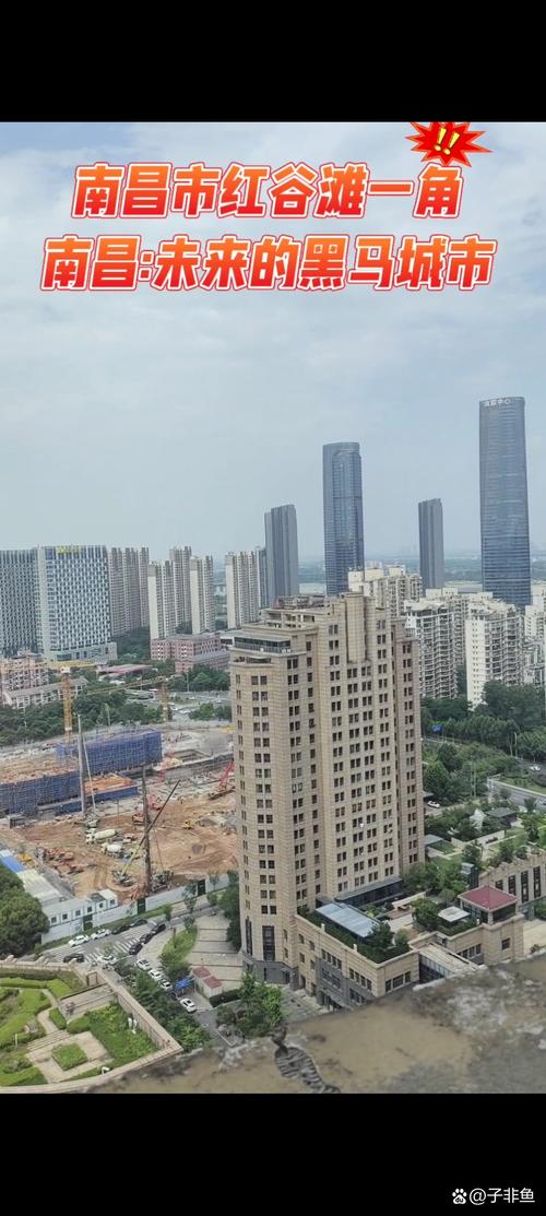 南昌专业房产网站崛起，未来房产平台发展前景如何？