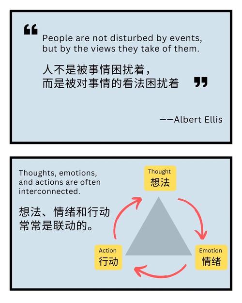 setter方法和虚方法之间有何本质区别？