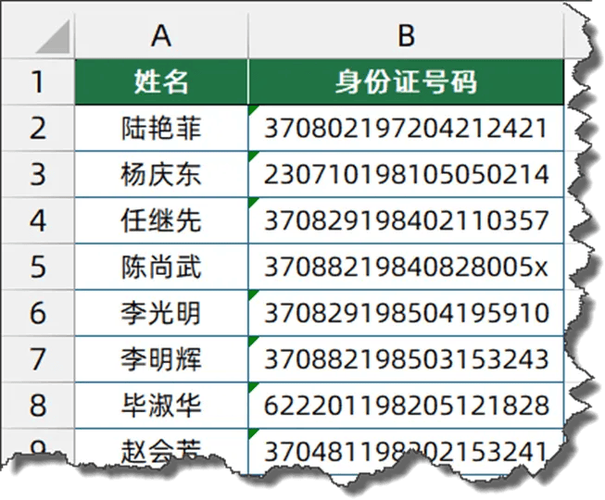 导出的身份证信息具体是什么？
