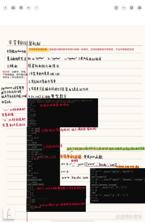 字符串的驻留机制是如何实现的？