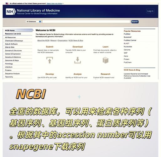 降解基因数据库是什么？