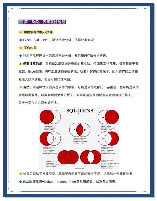 如何从SEO小白一步步成长为数据分析大师，掌握哪些关键技巧？