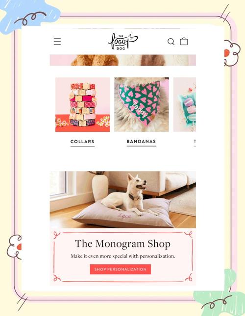 如何从零开始打造一个高转化率的Shopify宠物用品独立站？