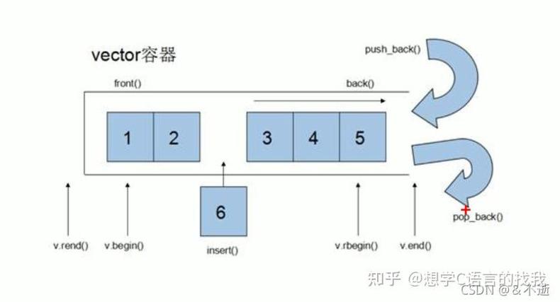 C++ STL vector容器究竟有哪些详尽的特性和应用场景？