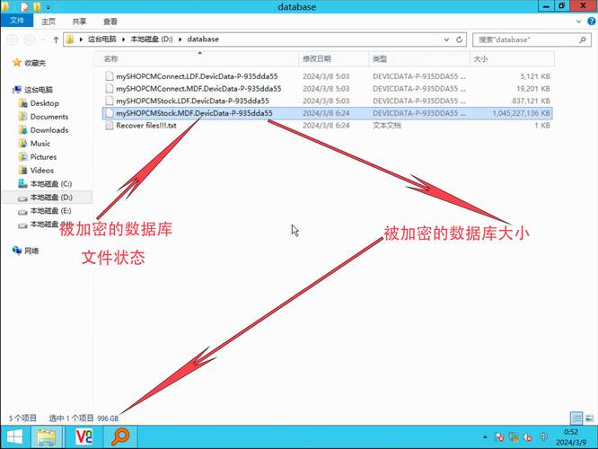 为什么导入t6数据后数据库中修改信息始终无法显现？