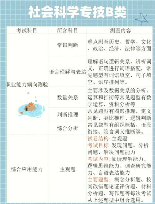 a类b类项目本质区别有哪些？