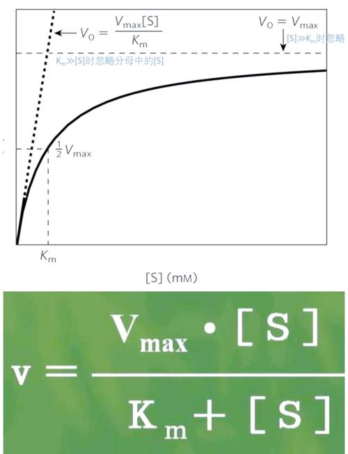 POJ 1679的The Unique MST是什么问题？