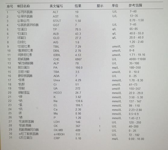 数据库代码中的ck指的是什么参数或功能？