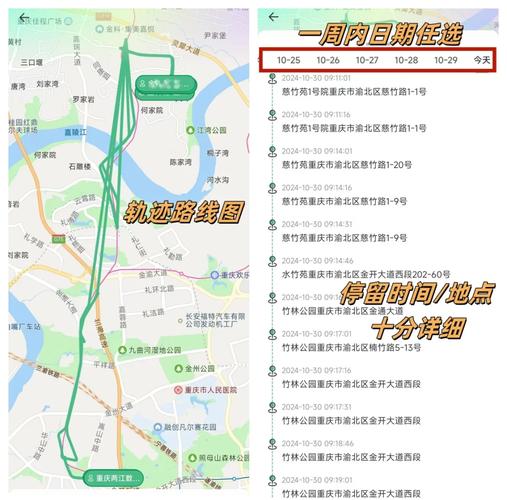 如何通过索域名历史查询，追踪知名网站的成长轨迹？