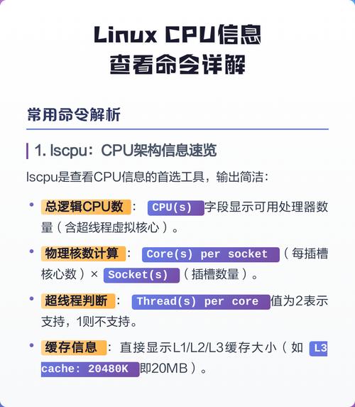 如何快速查看并调整Linux系统CPU缓存大小以显著提升系统性能？