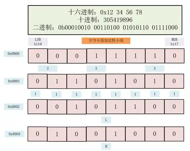 计算机的字节序（大小端）是如何影响数据存储和传输的？