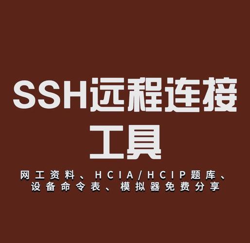 如何详细学习Pycharm内置终端和远程SSH工具的使用方法？