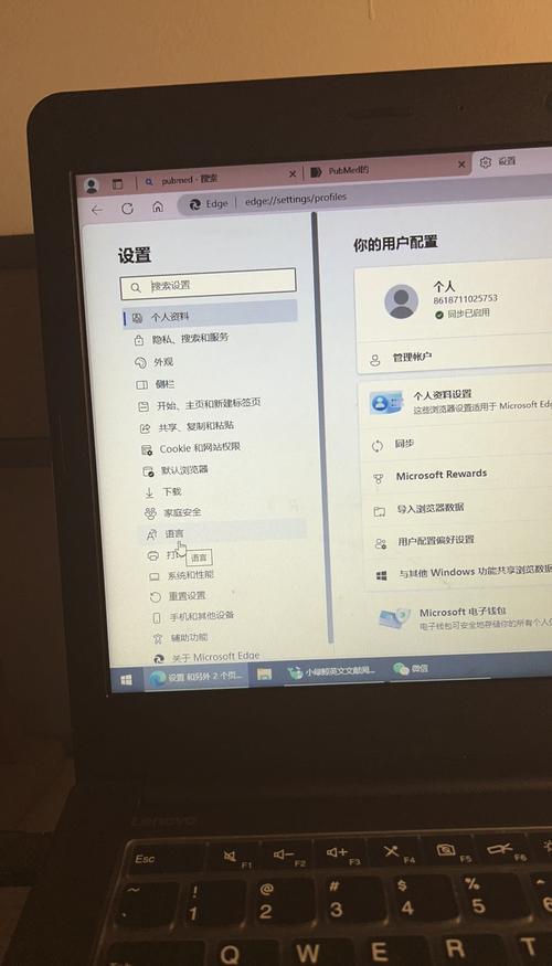 如何解析嵌入在IDEA浏览器中的翻译功能？