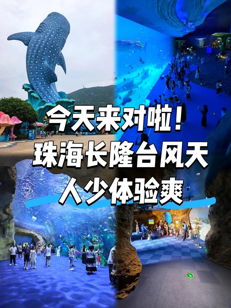 珠海流量巅峰，哪个话题轻松霸占？