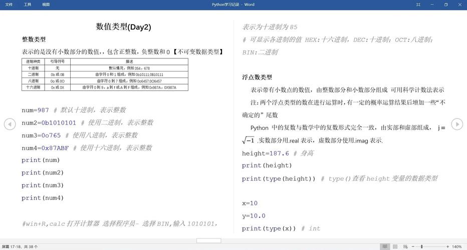 Python中如何处理不同变量数据类型的运算操作？