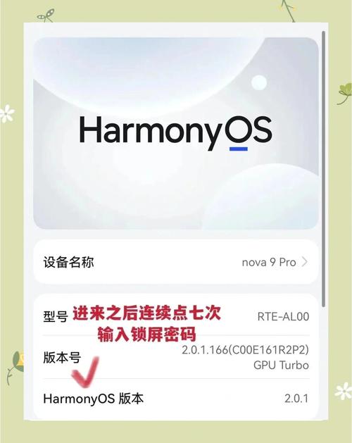 华为HCIEStorage的InfoTier是什么功能？