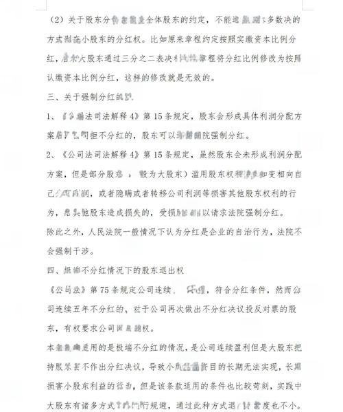 独立站老板为何年底才分红？揭秘其商业逻辑与操作关键？