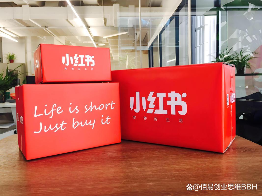 孵化新项目，有哪些新机遇值得探索呢？