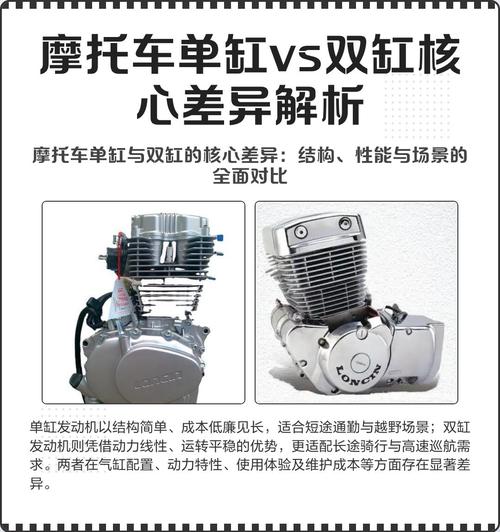 单缸和双杠运动项目在哪些本质方面存在不同？