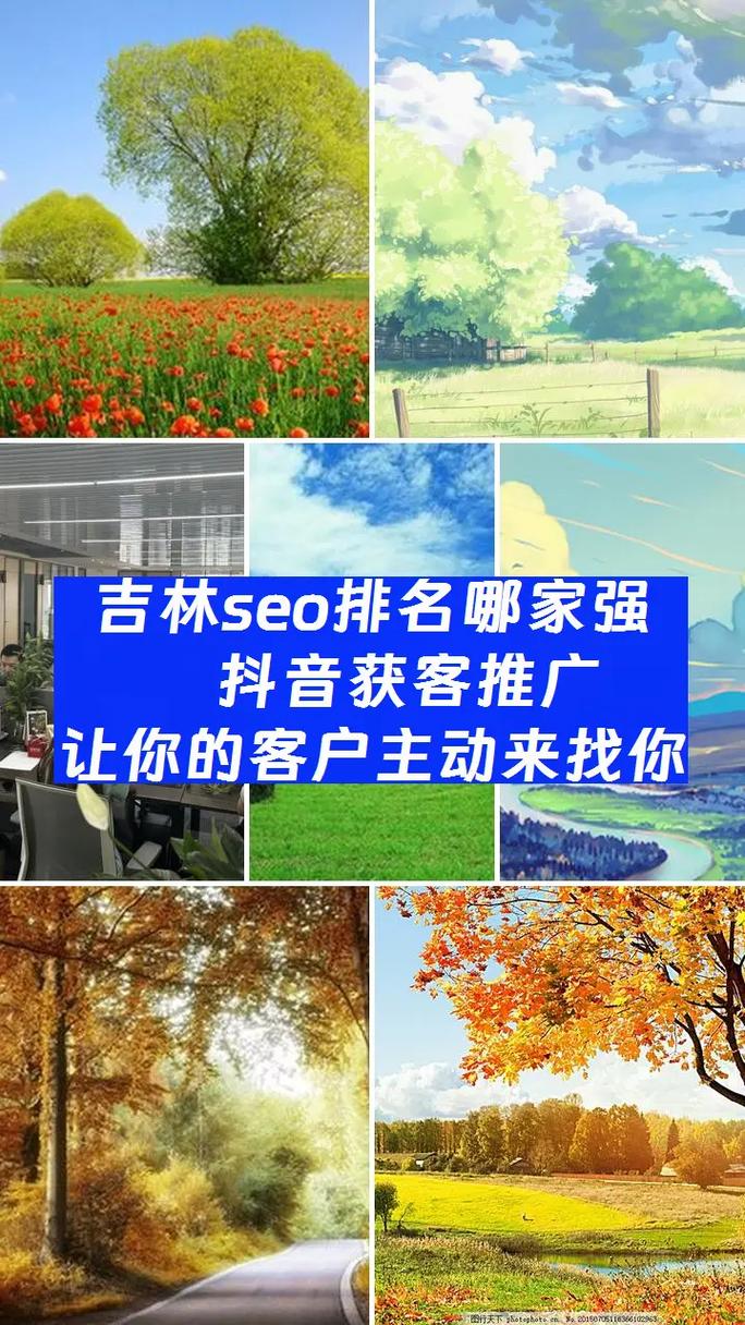 吉林SEO领域哪家强，专业优化服务哪家是首选？