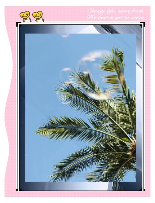 如何用PHP调用摄像头拍摄照片并实时添加滤镜？