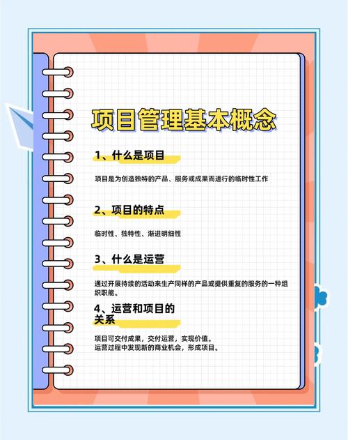 如何区分项目与运营业务的本质差异？