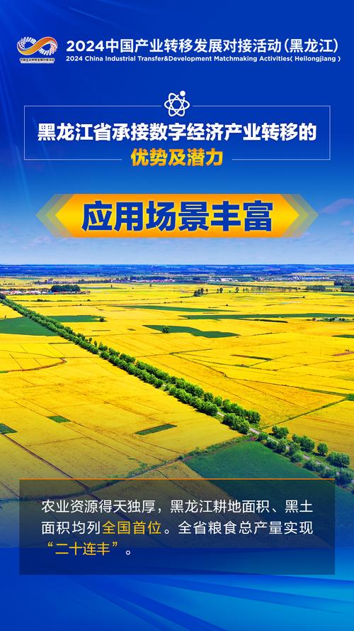 黑龙江专业网站建设企业，先锋力量引领数字变革，黑龙江企业服务网改版了吗？