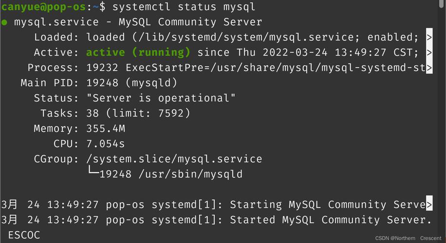 如何设置Linux系统下MySQL的主从分离配置？