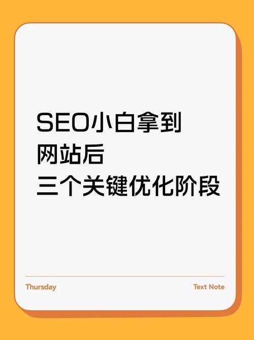 SEO小白也能轻松上首页？经验真的不是关键因素吗？