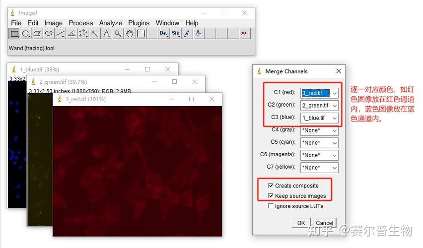 如何运用ImageMagick PHP扩展实现复杂图像特效处理？