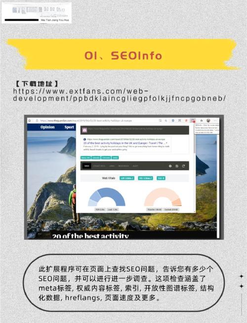有哪些付费谷歌SEO工具适合用于网站排名推广？