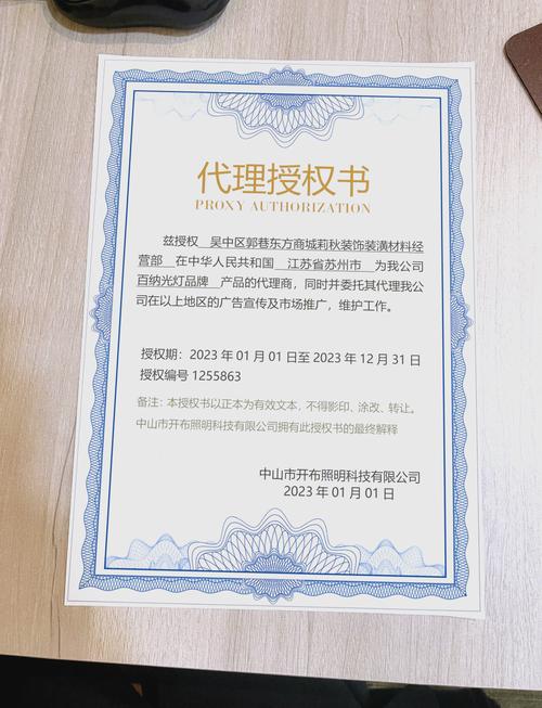 项目授权与代理人职责的根本差异是什么？