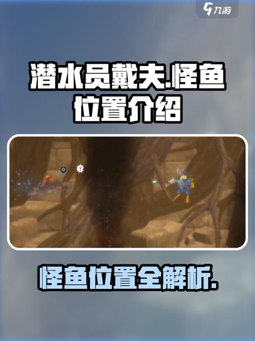 潜水员鱼类数据库为何存在其背后有何重要意义和价值？