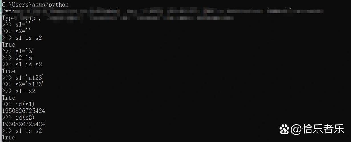 字符串的驻留机制是如何实现的？