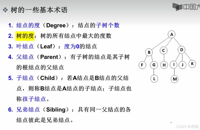 数据结构中的树，第10至14天学习到哪些内容？