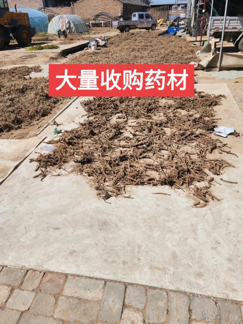 独立站卖药材真的能赚钱吗？