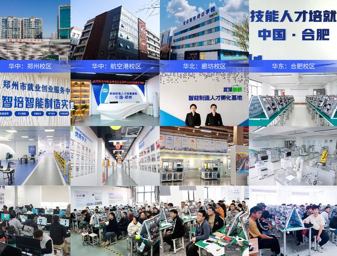 连云港市建设网站崛起与发展，专业培训中心官网有哪些特色和优势？