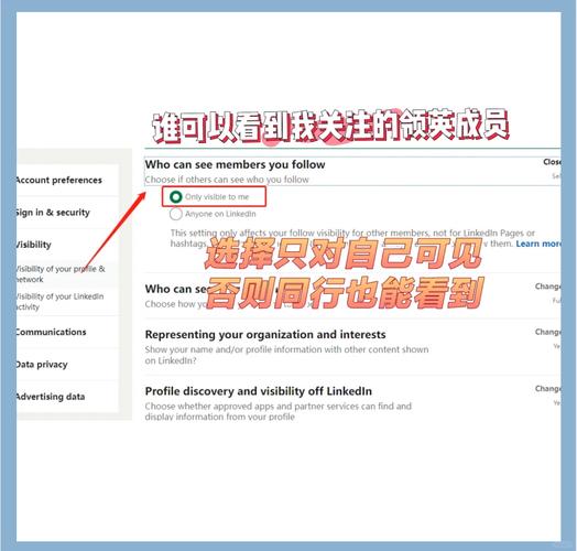 如何使用Scrapy抓取LinkedIn上的公司详细信息？