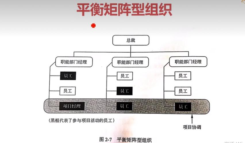 强矩阵与项目型有何根本差异？