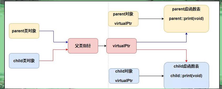 C语言中如何实现深入理解多态与虚函数的机制？