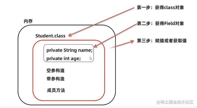 如何通过反射获取一个类的对象、构造函数、字段和方法？