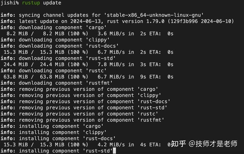 如何在Ubuntu上使用Rust确保我的项目安全无忧?