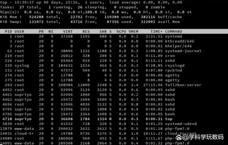 Linux中top命令如何详细查看系统资源使用情况及进程信息？